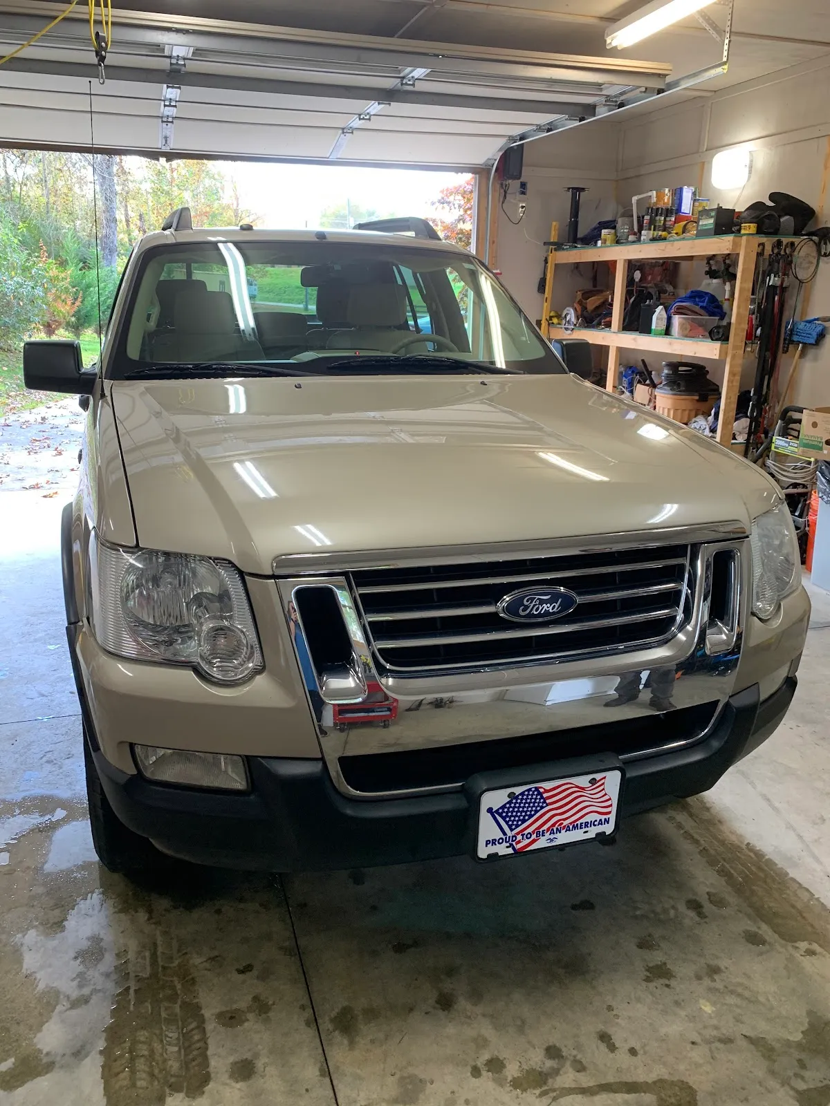 Rise and Shine Automotive Detailing