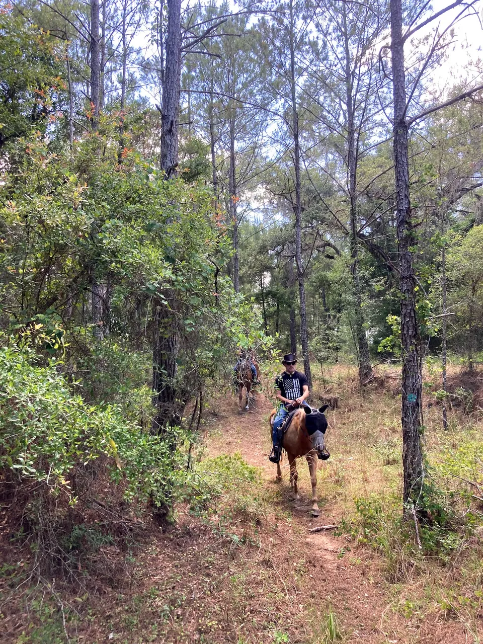 Lake Townsen Preserve