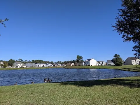 Oak Forest Pond
