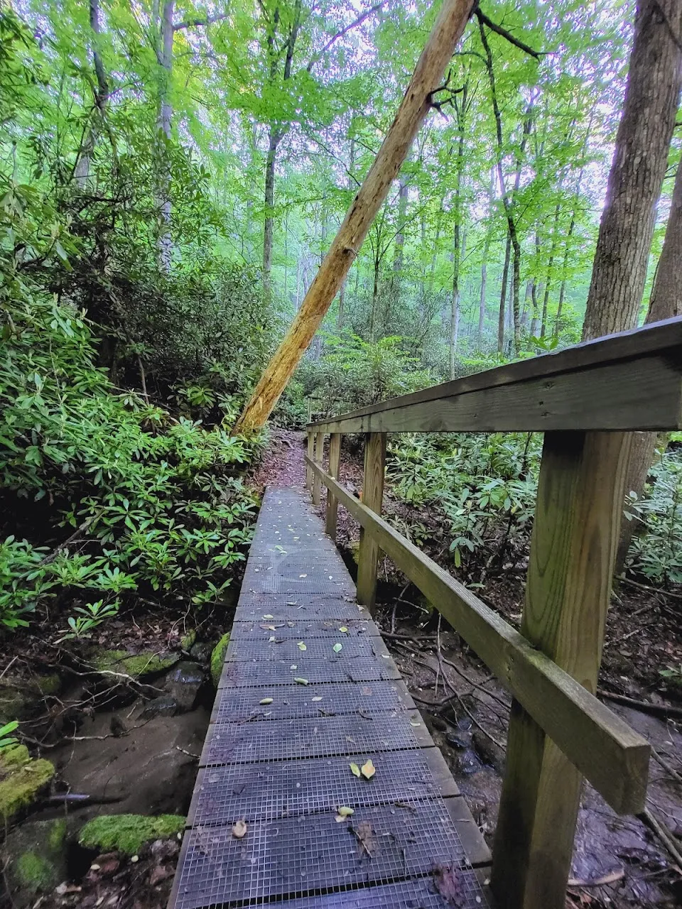 Bartram Trail - Trailhead State Line