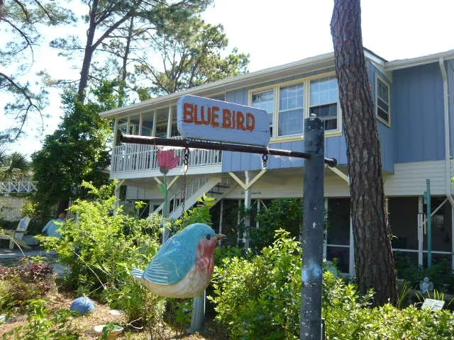 Bluebird Bed & Breakfast