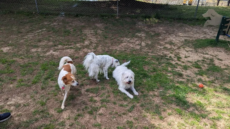Rabun County Bark Park