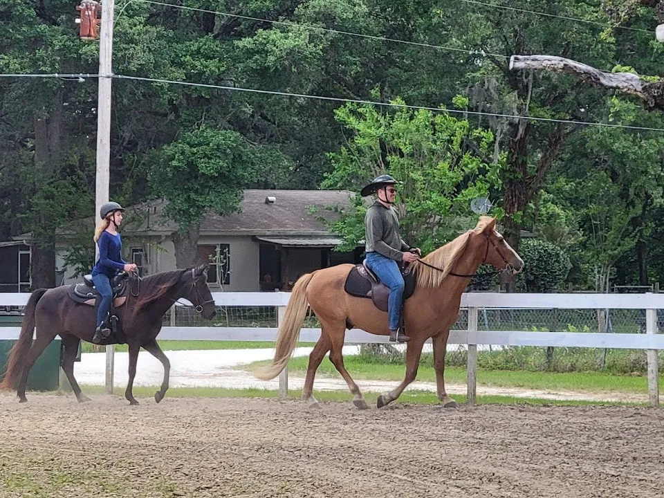 Glover's Stables