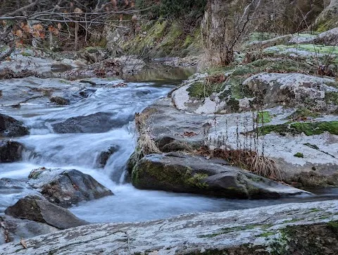Bottom Creek Gorge Preserve