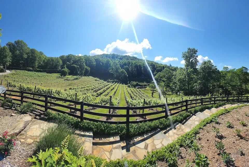 The Vineyard at High Holly