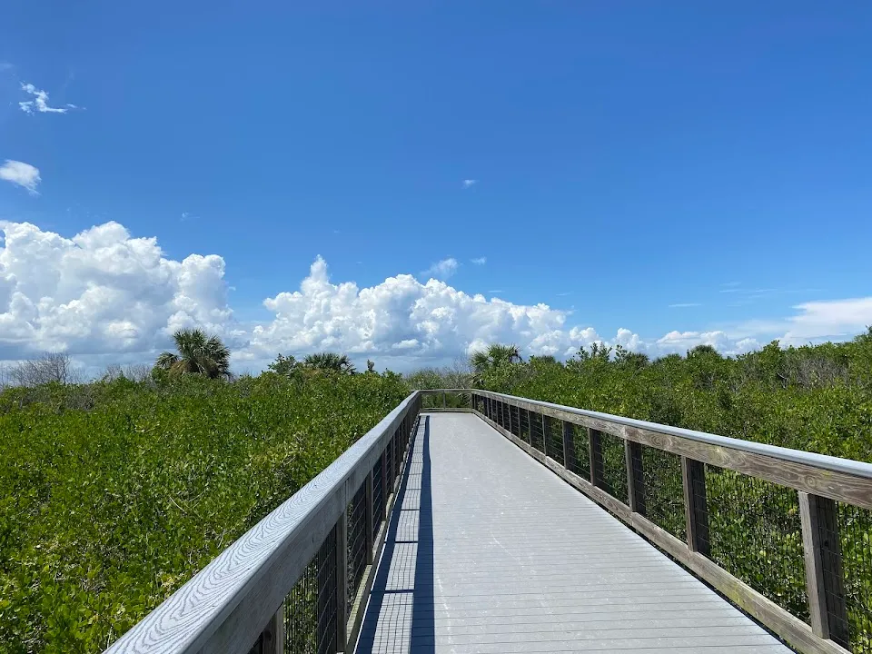New Smyrna Dunes Dog Beach