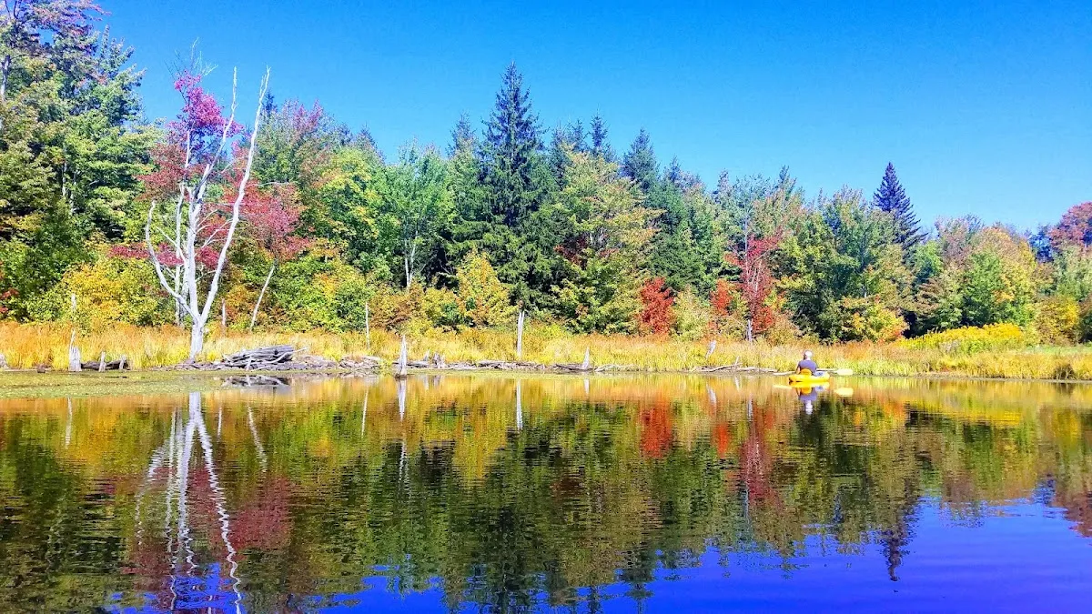 Looking Glass Pond