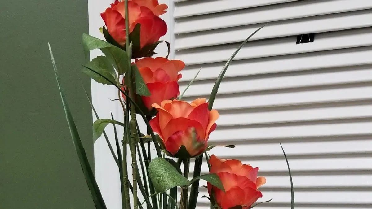 Mary's Flowers and Gifts , LLC