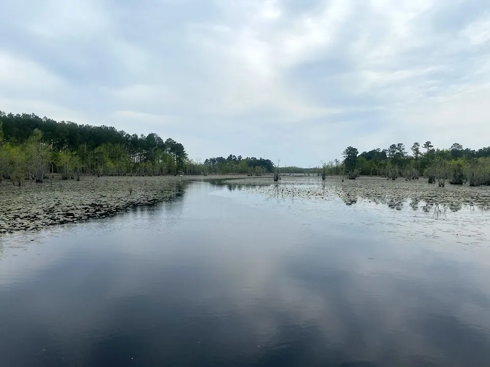 Lake Moultrie Kayak rentals and tours