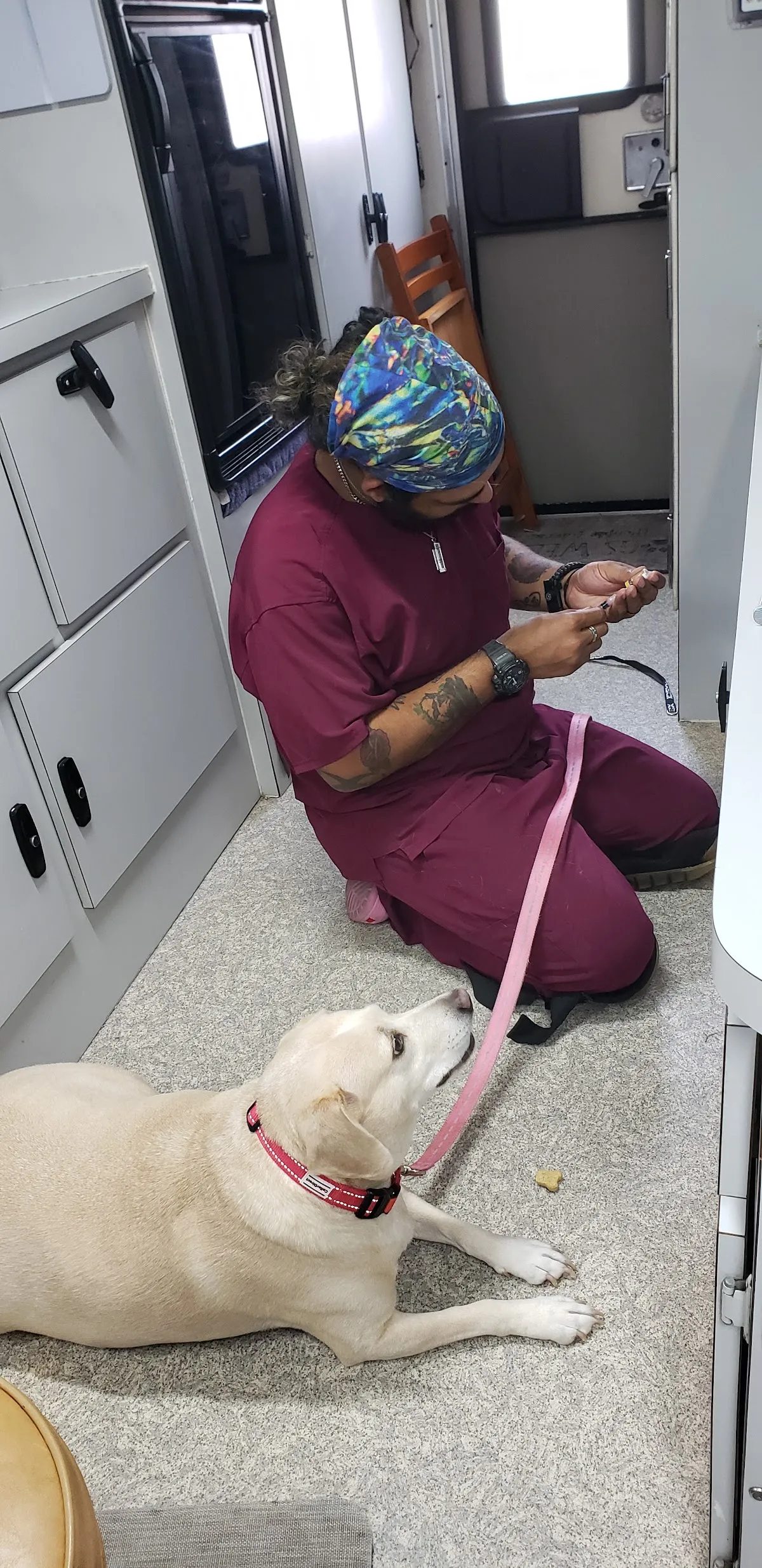 Wags & Whiskers Mobile Veterinary Practice