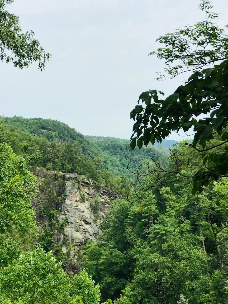 Overlook 5