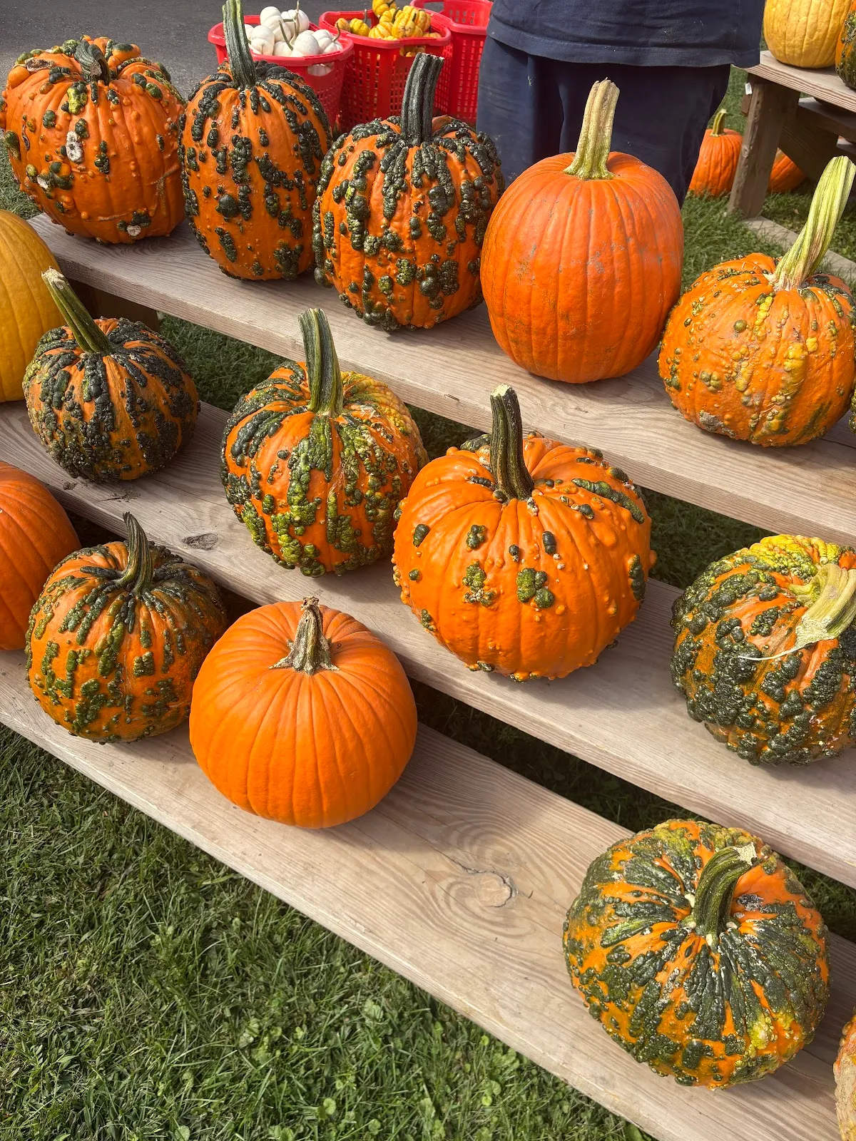 Mountain View Farm Stand