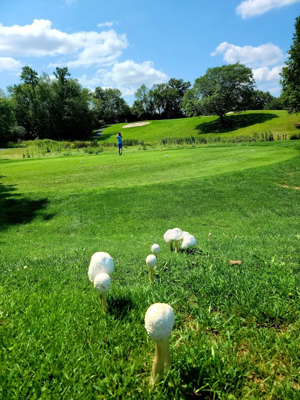 Stony Ford Golf Course