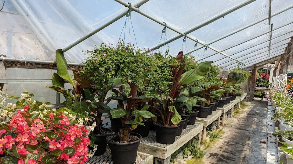 Twin Ponds Greenhouses