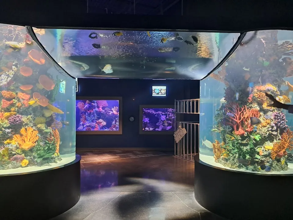 Daytona Aquarium & Rainforest Adventure