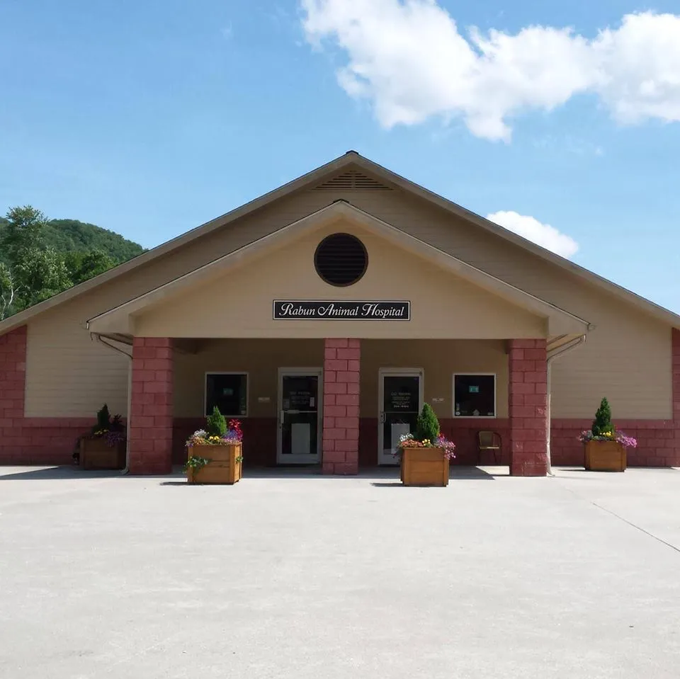 Rabun Animal Hospital