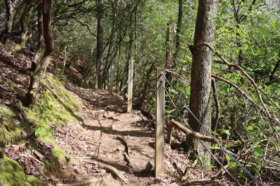Angel Falls Trailhead