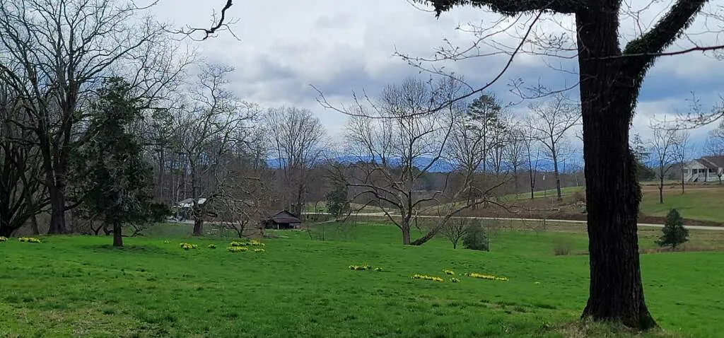 Cormiston Farms