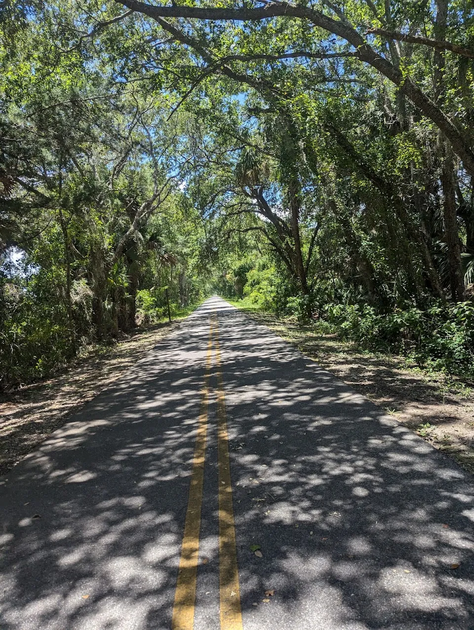 Central Regional Rail Trail