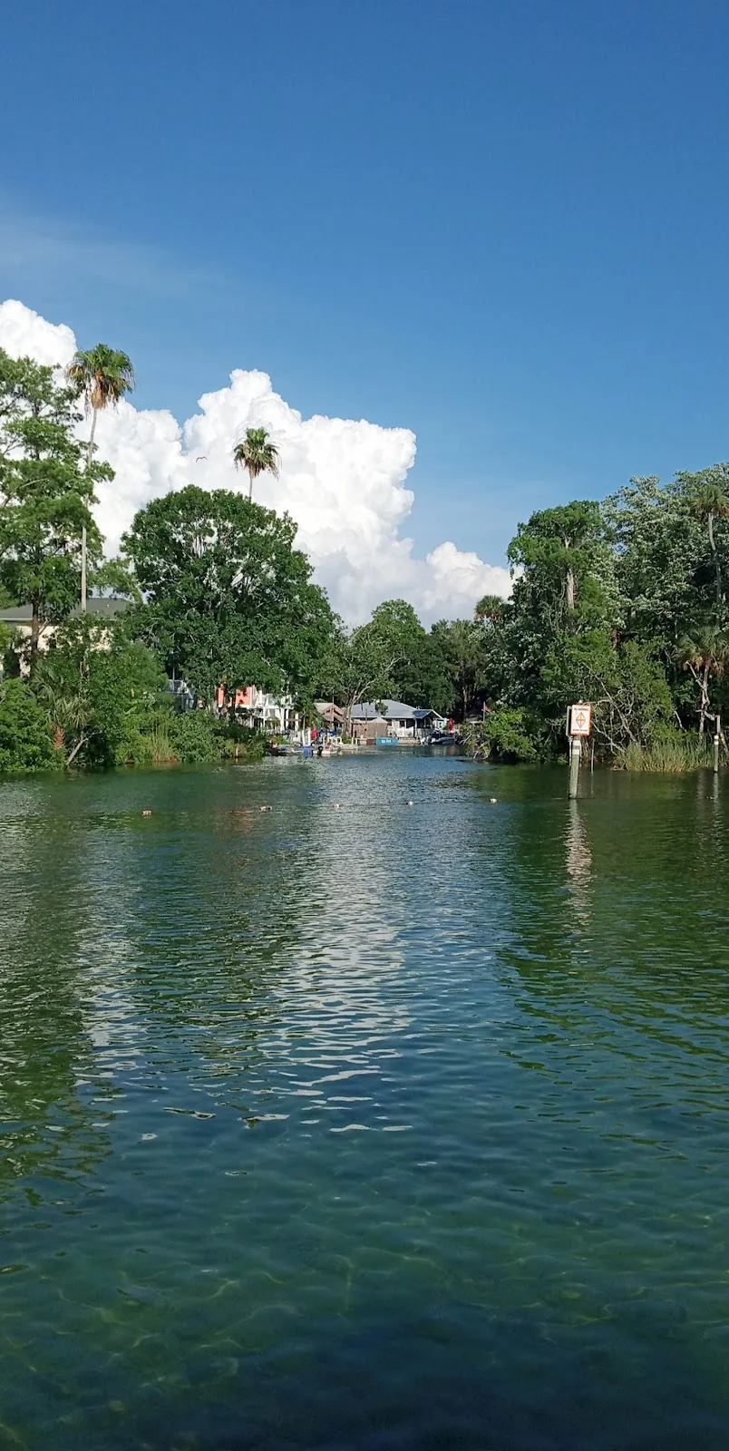 Roger's Park