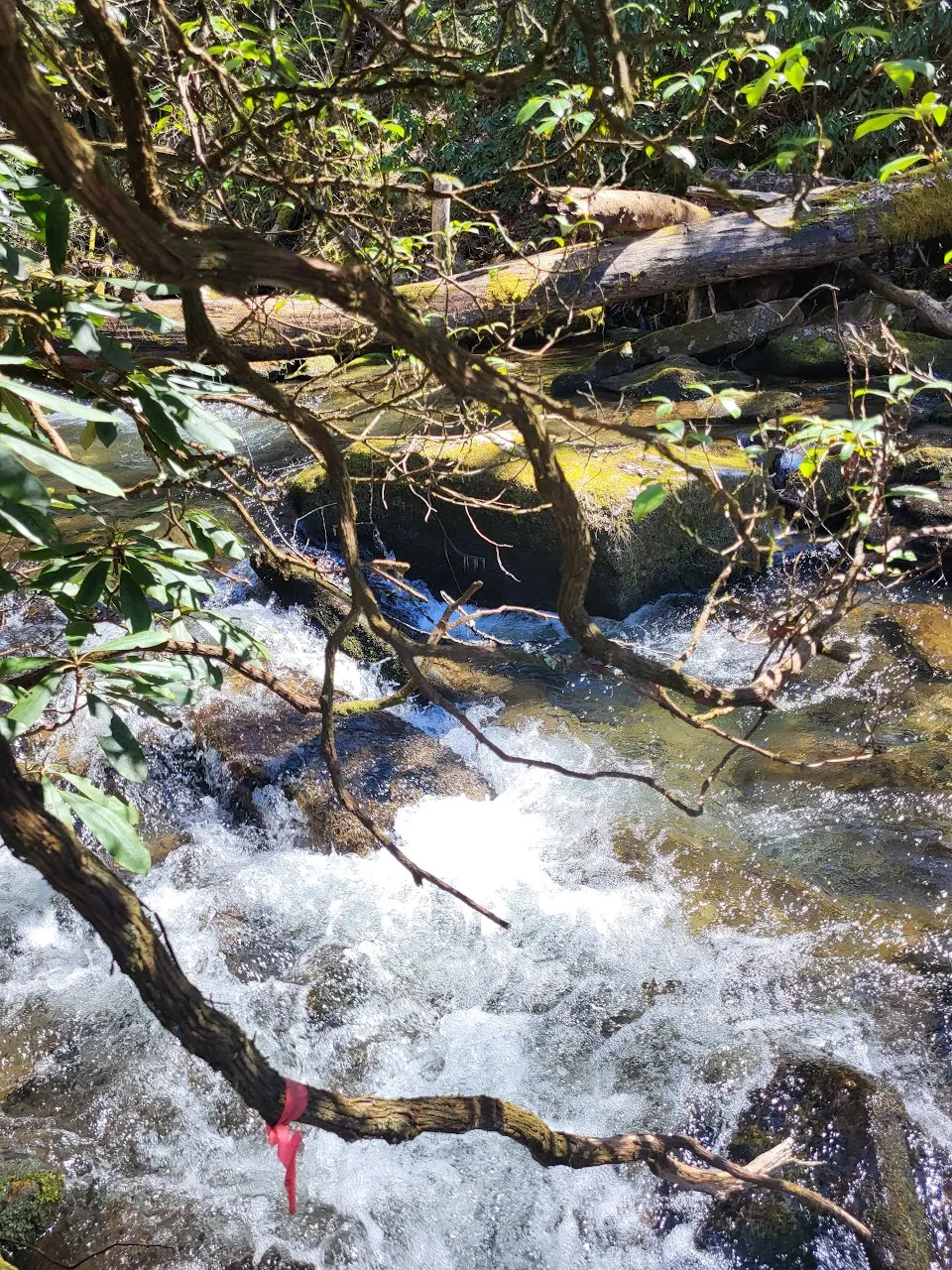 Upper Darnell Creek Falls