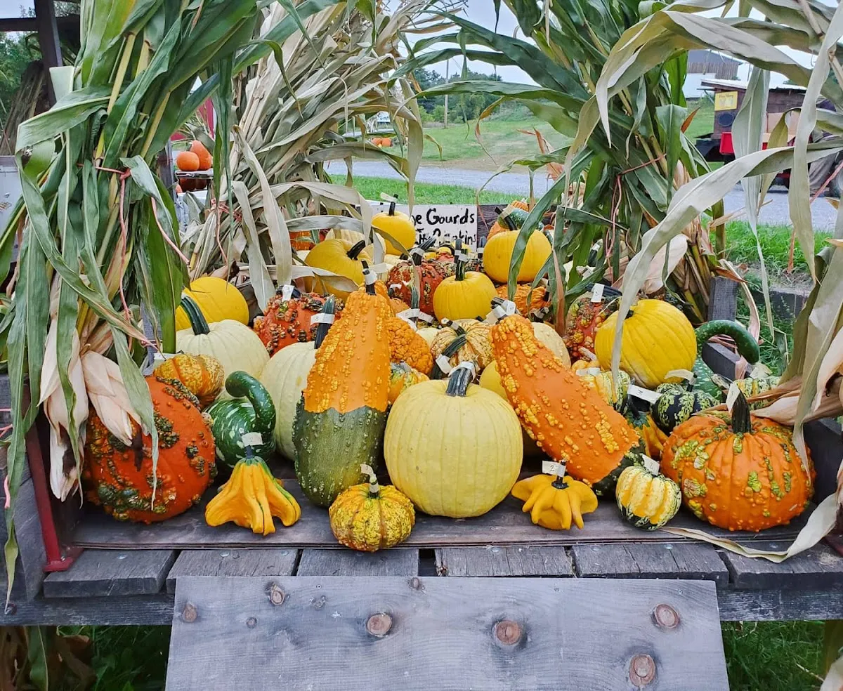 Fox Valley Vail Farms