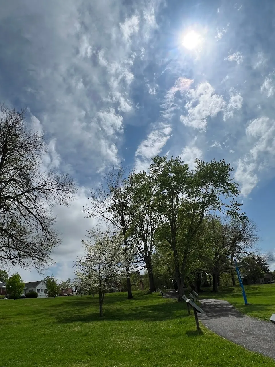 Community Park