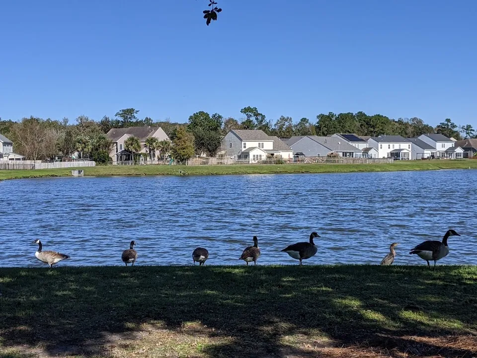 Oak Forest Pond