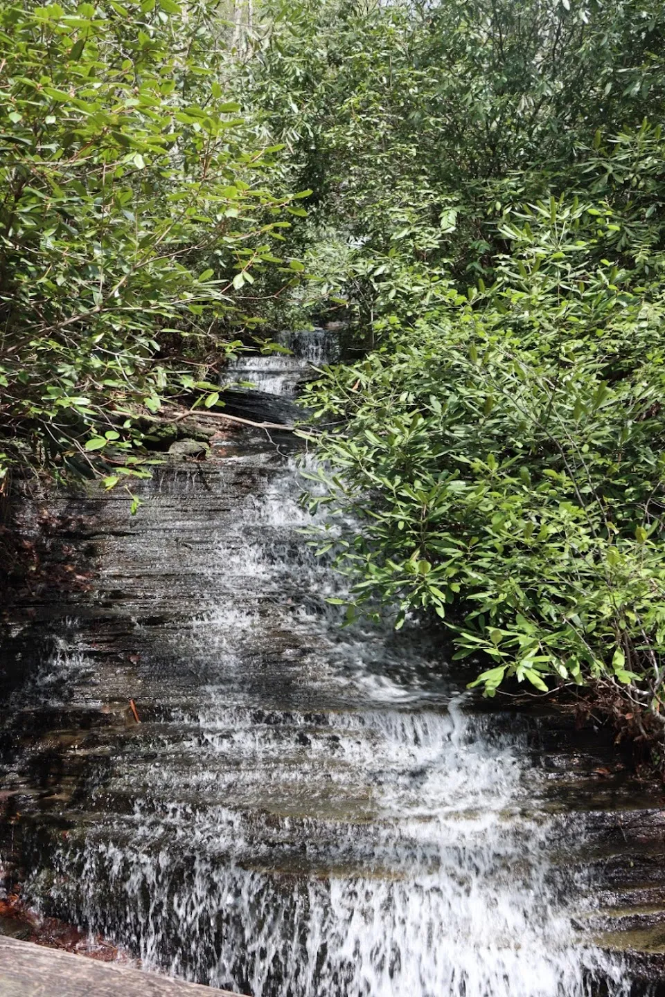 Angel Falls Trailhead