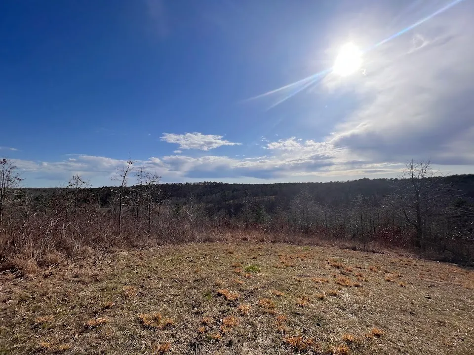 J T Nickel Family Nature And Wildlife Preserve