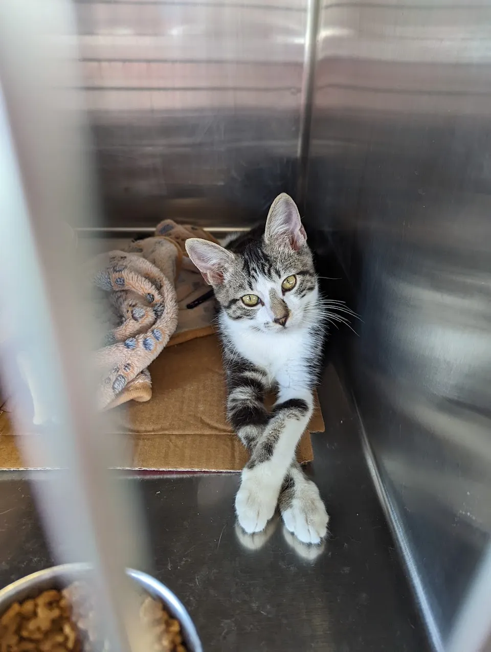 Petsense by Tractor Supply