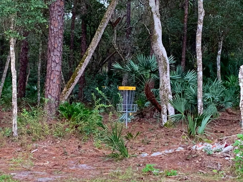 Holland Park Disc Golf Course