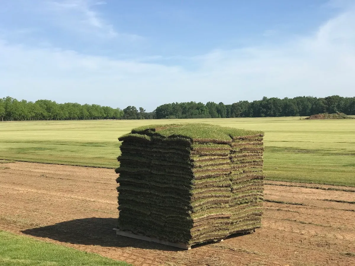 NG Turf Sod Farm, Clarkesville