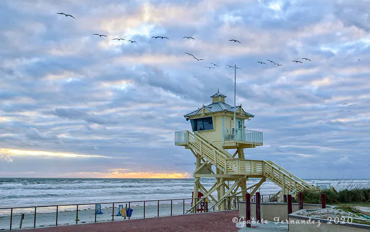 Fernandez Photography & Fine Arts Gallery