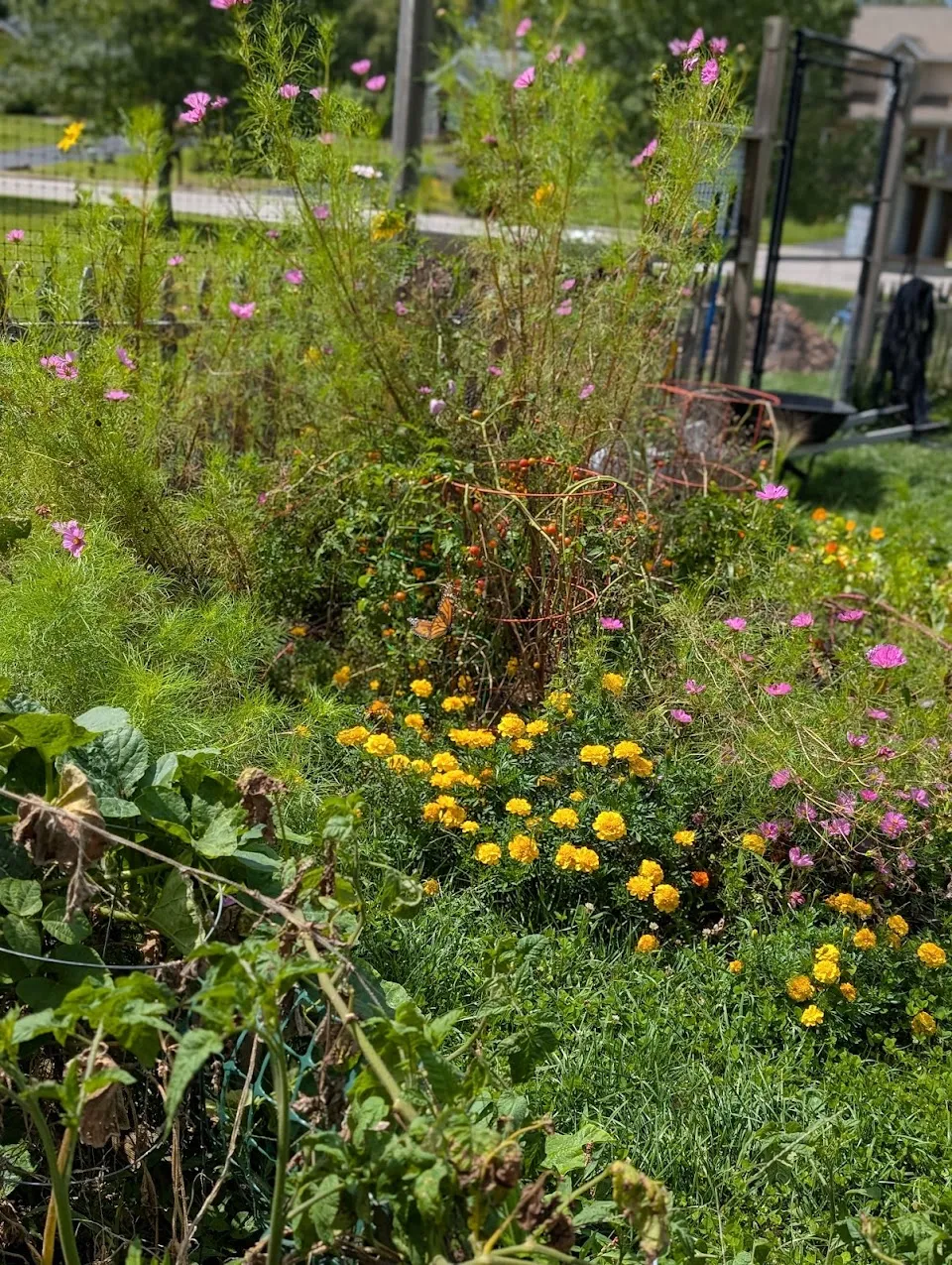 Garrison Community Garden