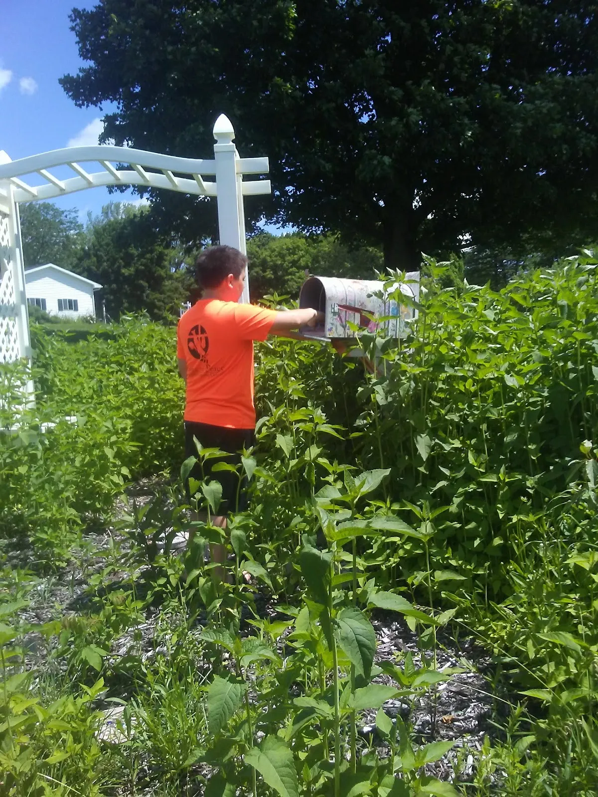 Gardens for Wings Community Pollinator Garden