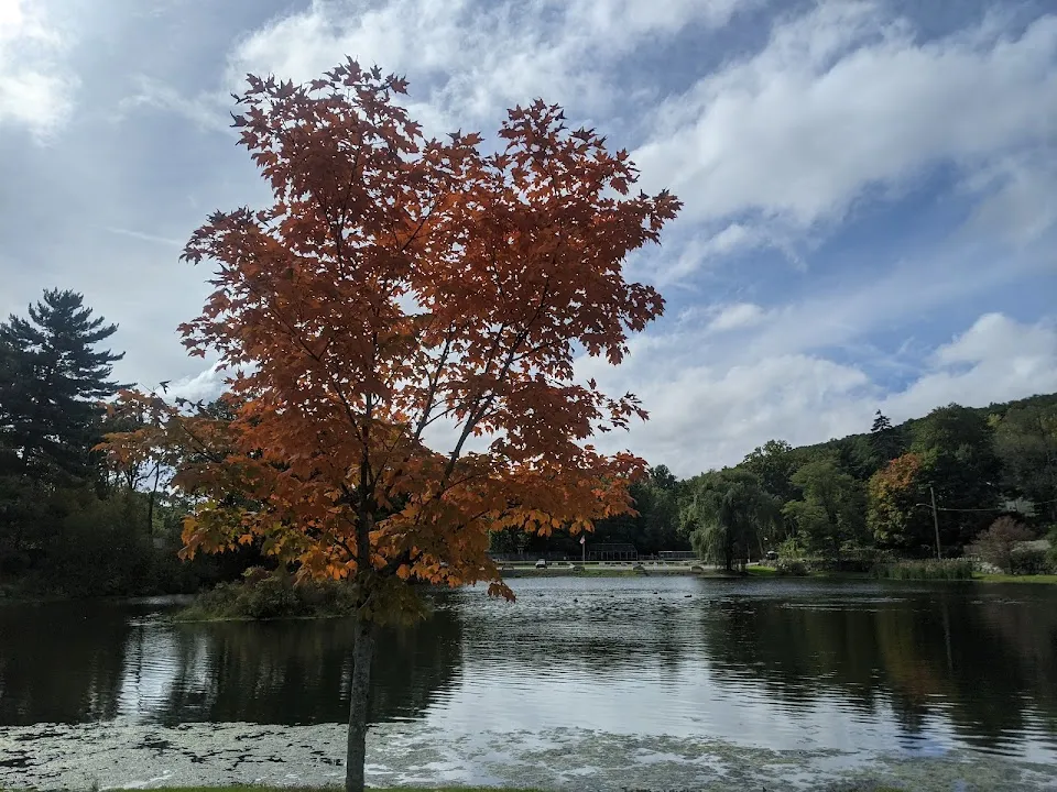 Roe Park