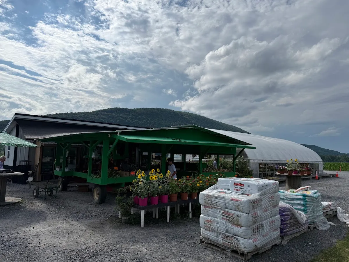 Cyprus Farm