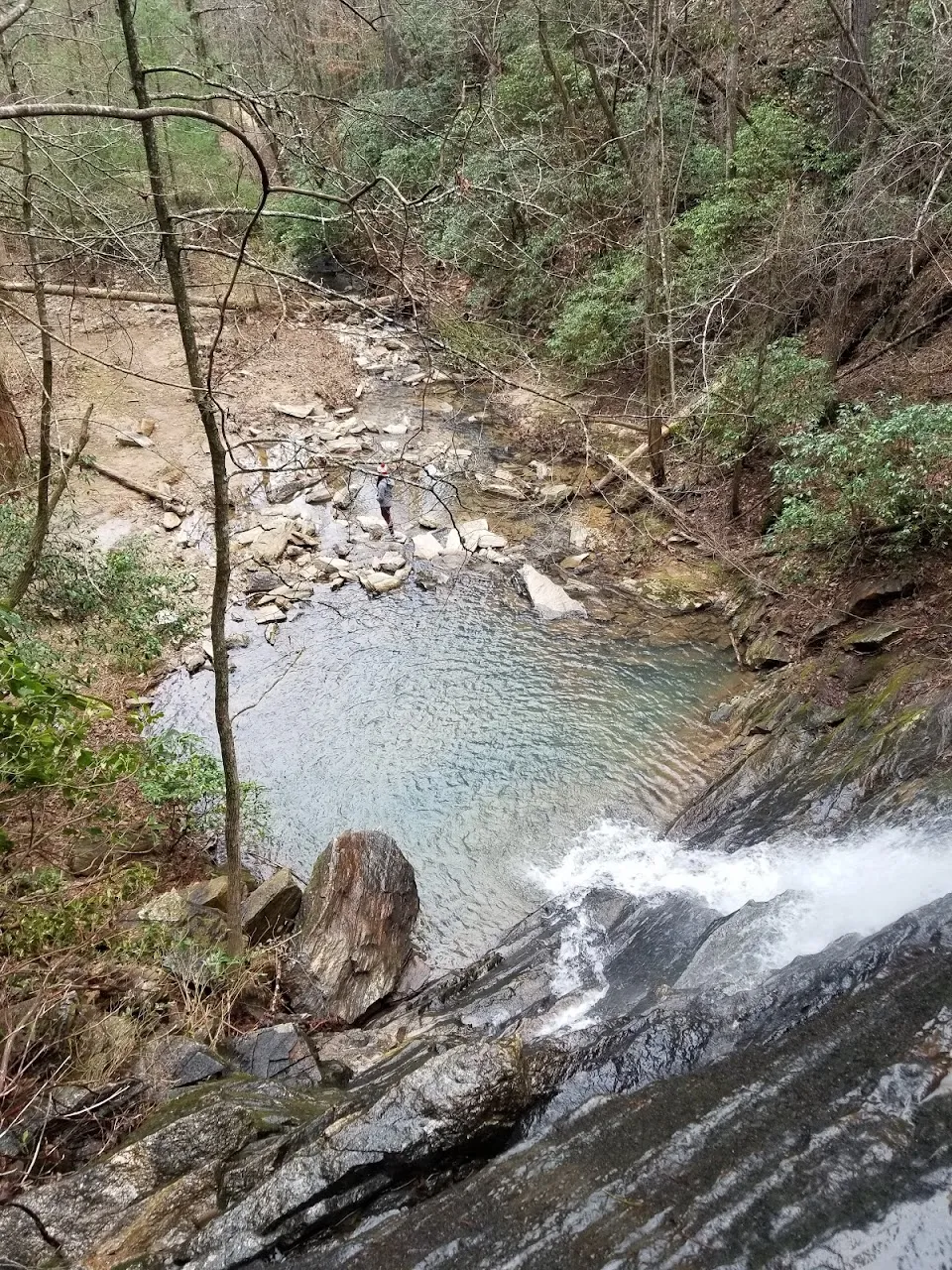 Reedy Branch Falls Trailhead