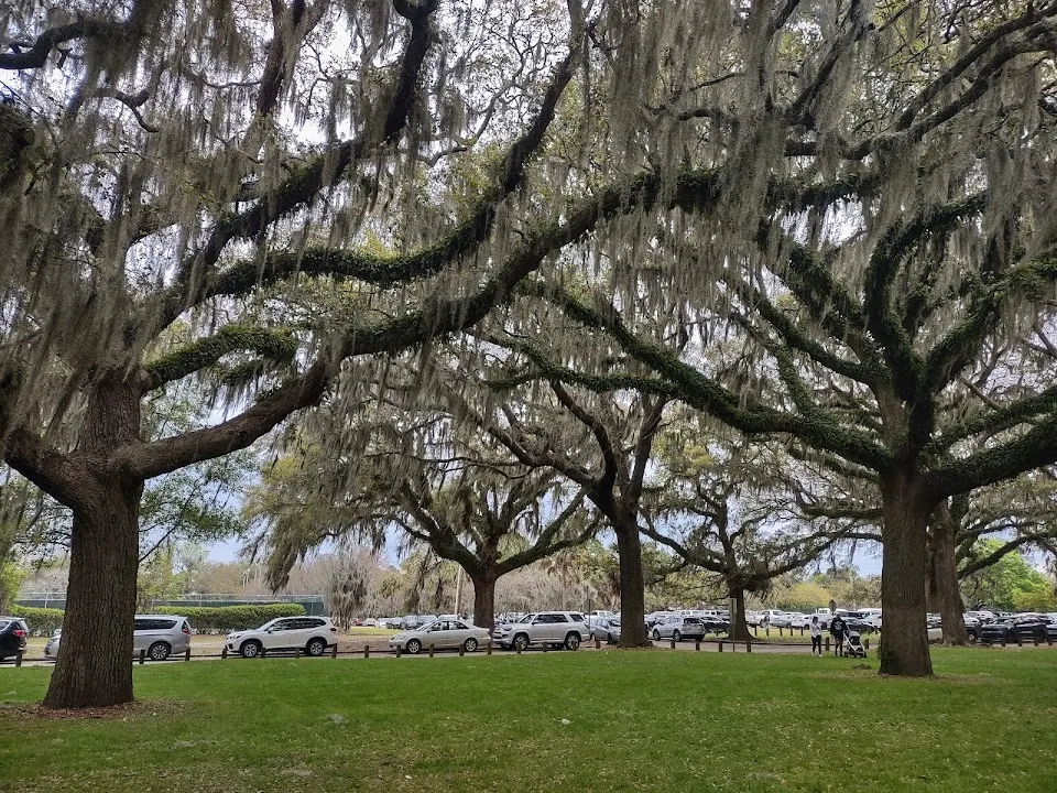 Daffin Park
