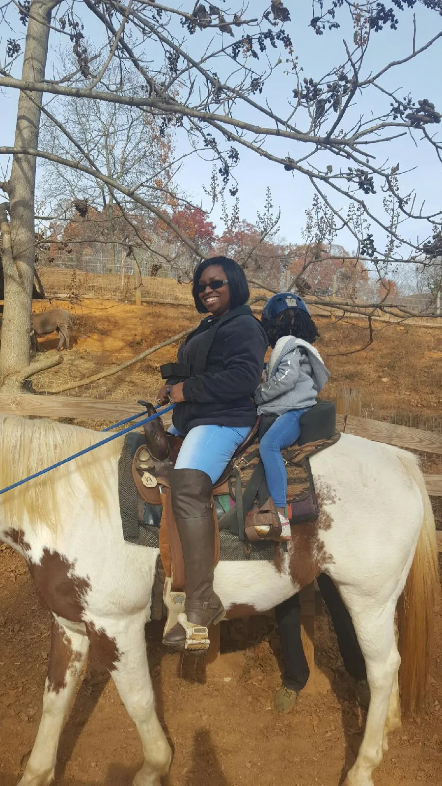 Horse Whisperer Cabin