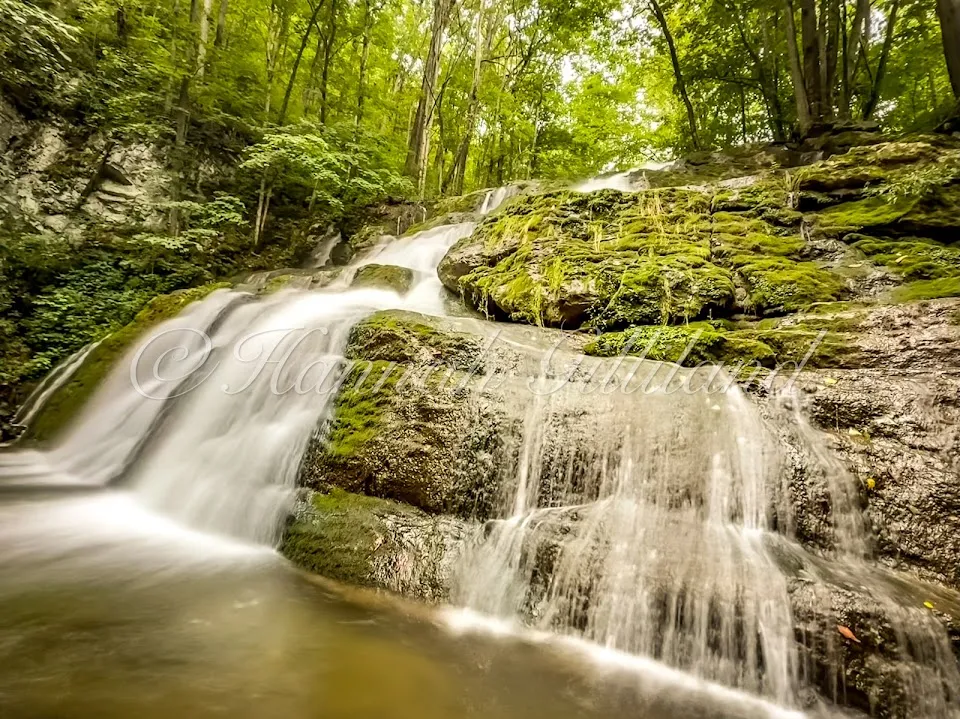 Falls Of Logan Creek
