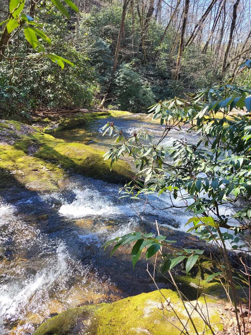Upper Darnell Creek Falls