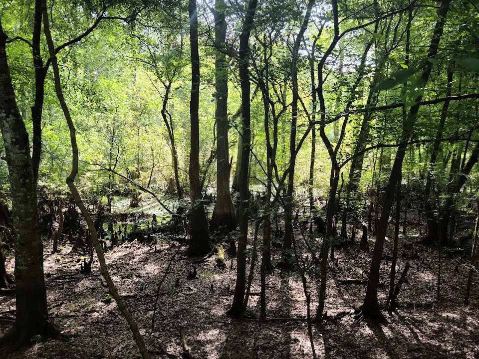 Withlacoochee State Trail - Ridge Manor Trailhead