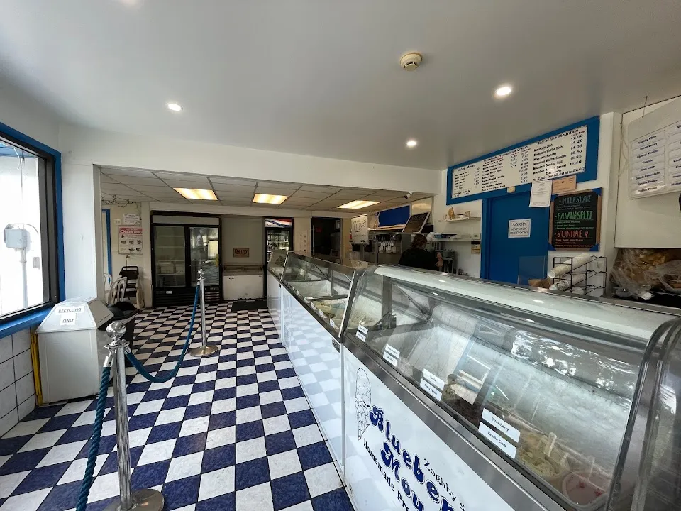 Blueberry Mountain Ice Cream