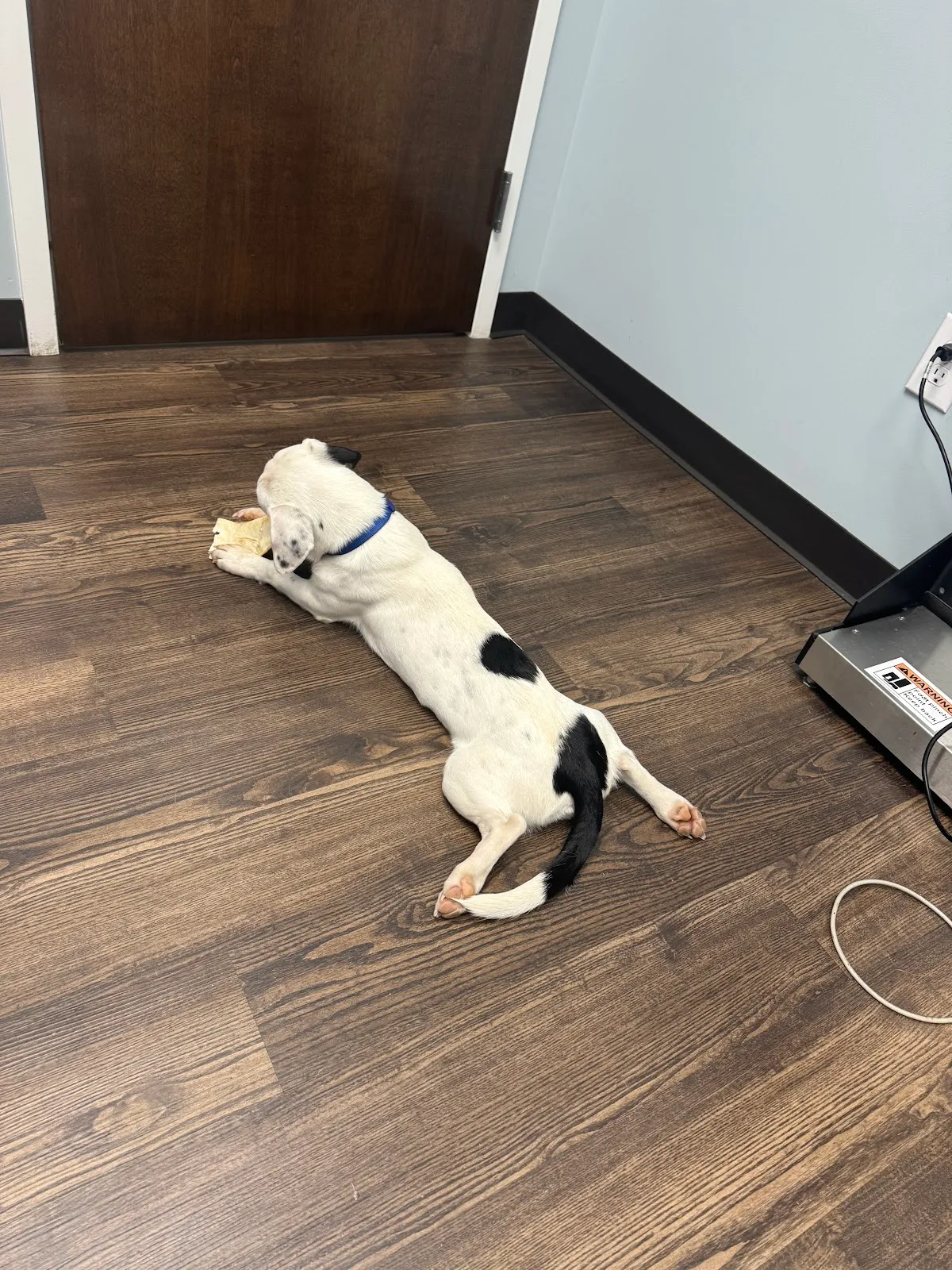 Cashua Veterinary Care