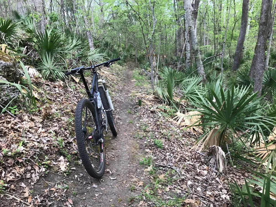 Biggin Creek MTB Trail