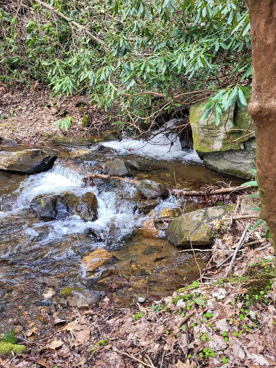 Denton Creek