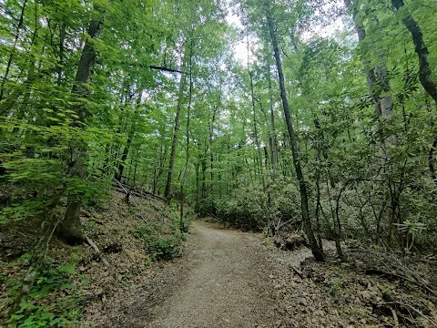 McDonald Hollow Trail Network