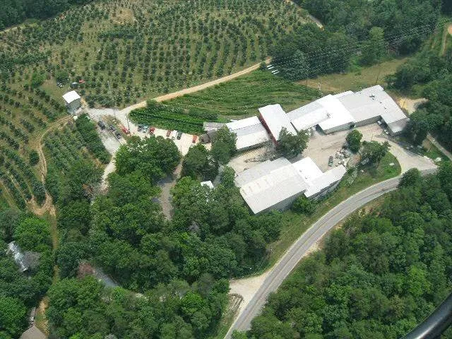 Hillside Orchard Farms WHOLESALE